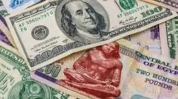 تغيرات طفيفة تسيطر على سعر الدولار أمام الجنيه في مستهل تعاملات الإثنين